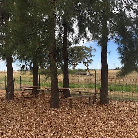 Aussie Cabins Hotell Dubbo Exteriör bild