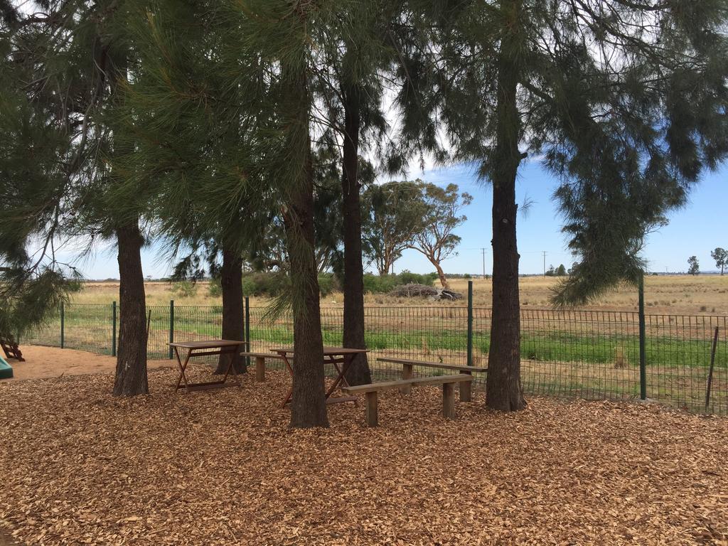 Aussie Cabins Hotell Dubbo Exteriör bild