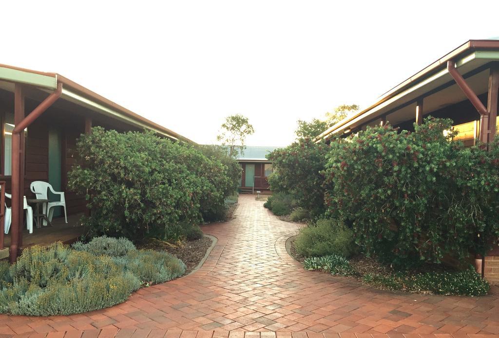 Aussie Cabins Hotell Dubbo Exteriör bild