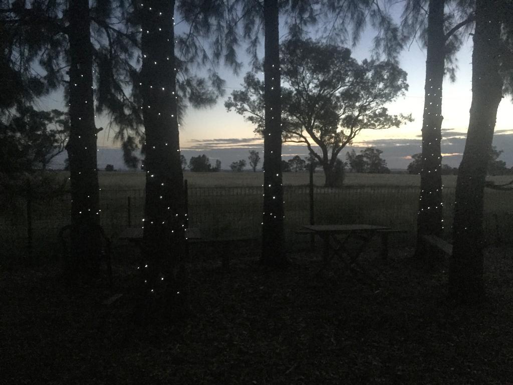 Aussie Cabins Hotell Dubbo Exteriör bild