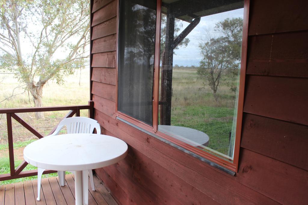 Aussie Cabins Hotell Dubbo Rum bild