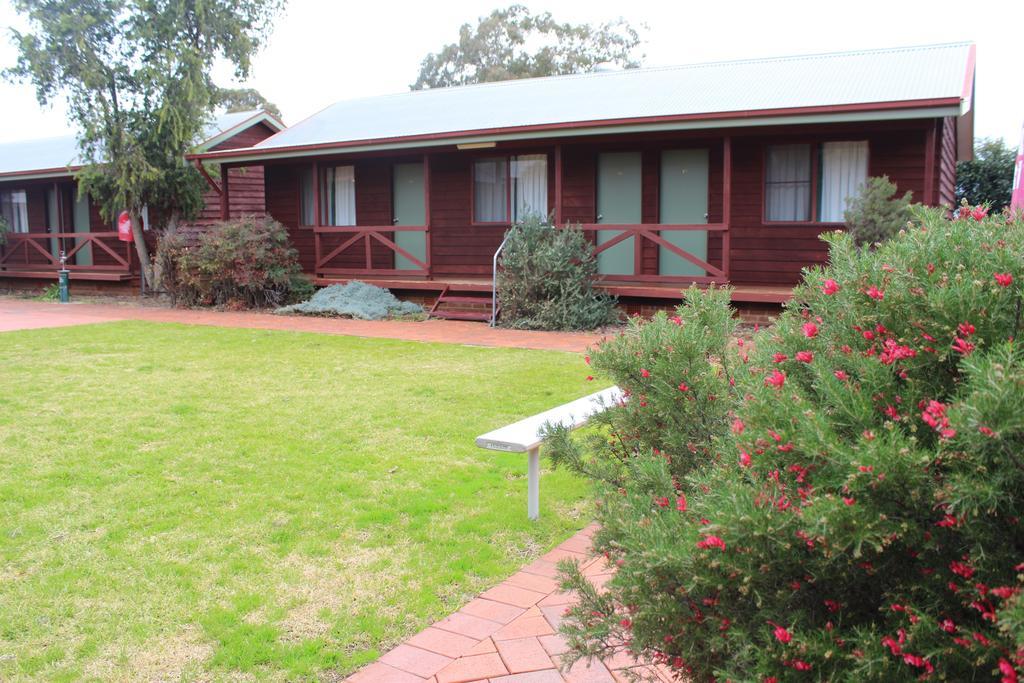 Aussie Cabins Hotell Dubbo Rum bild